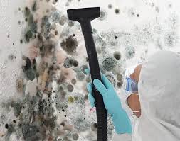 Best Biohazard Mold Removal  in Swartzville, PA